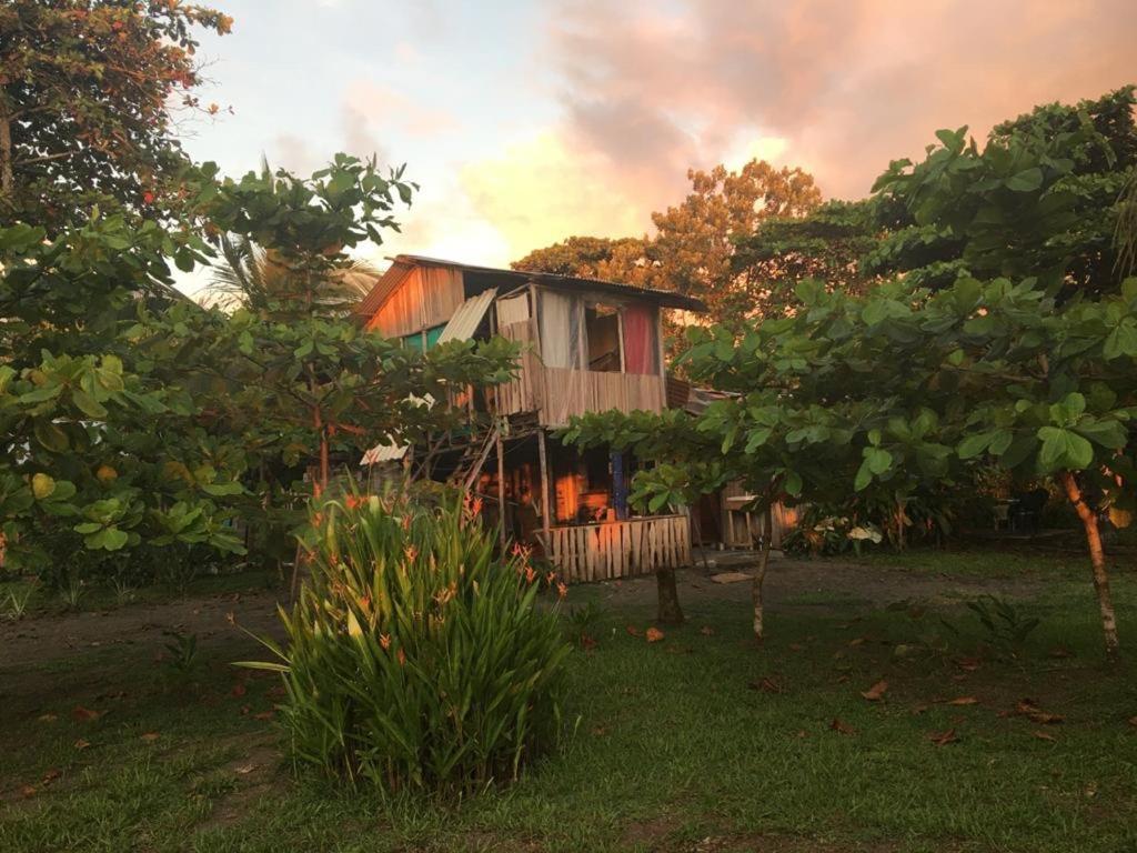 Miguel Surf Camp Hotel Quepos Exterior foto
