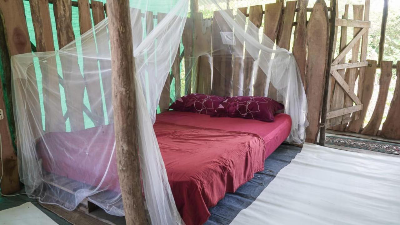 Miguel Surf Camp Hotel Quepos Exterior foto